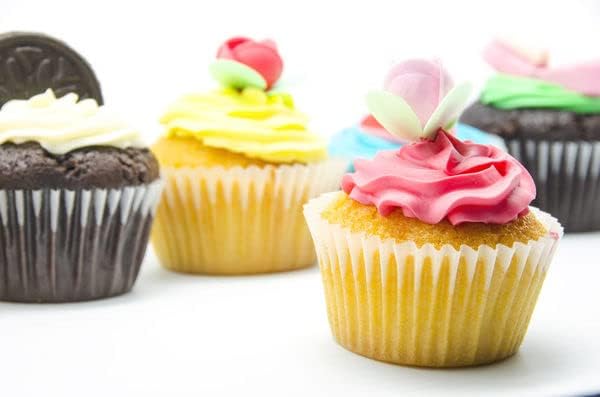 Joyeee 4 Pcs Frosting Piping Bags, Large Piping Bags Reusable, Medium Silicone Piping Bags, Small Mini Piping Bag for Cakes Cupcake Cookies Decorating Supplies, 4 Color and Size 10” 12” 14” 16”