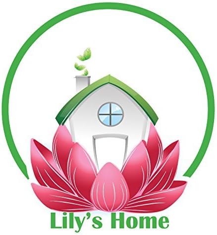 Lily's Home - 9 Inch x 12.5 Inch - Retro Kitchen Wall Clock, Vintage Wall Clock with a Thermometer and 60-Minute Timer, Ideal for Any Kitchen, Office, or Diner (Red)