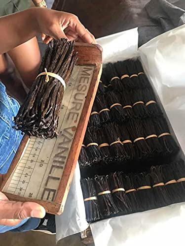 25 Madagascar Vanilla Beans Whole Gourmet Extract Grade A Pods for Baking, Extract, Cooking, Brewing