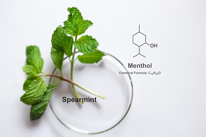 Pure Spearmint Flavor for Baking and Flavoring - Premium Quality Natural Flavors for Baked Goods, Desserts, & Cooking -1 Gallon