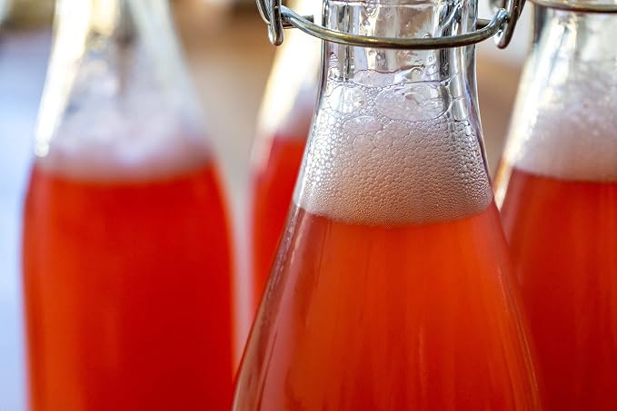 Fermentaholics Liquid Invert Sugar Syrup - 2 Pack - Great For Fermentation, Baking, Sweetening, Candy Making, Ice Cream - 20 fl oz - Ferment Hard Seltzer - Inverted Sugar Syrup Resealable Easy Pour Spout