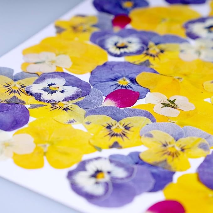 48 Pcs Mix Natural Dried Flowers for Cake Decorating, Real Dry Flower for Resin Jewelry Making, DIY Art Crafts (Pansy)