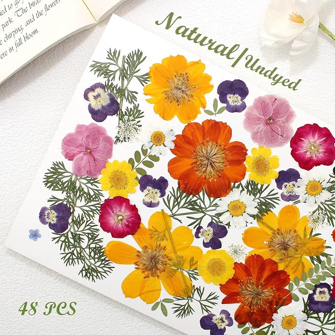 48 Pcs Mix Natural Dried Pressed Flowers for Crafts & Cake Decorating, Real Dry Flower for Cocktails, Resin Jewelry Making, DIY Art Crafts (Muticolor)