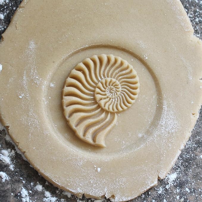 Wood Cookie Stamp, 2.5 Inch (Nautilus CS-147)