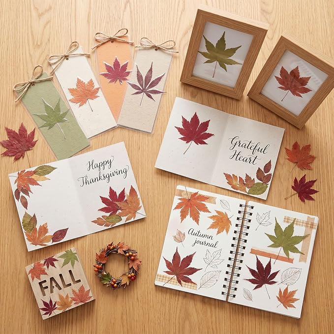 48 Pcs Dried Pressed Fall Maple Leaf for Cake Decorating, Seasonal Decor, Natural Dried Leaves Herbs kit for Resin Jewelry Making Soap and Candle Making (Maple Leaf)