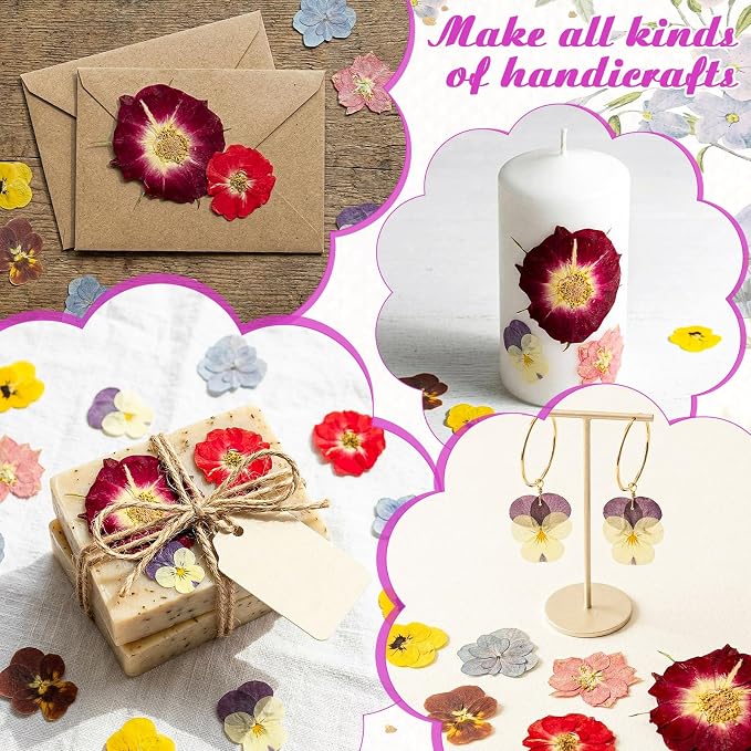 96 Pcs Natural Dried Pressed Edible Flowers for Cake Topper Decorating Cupcake Toppers Cocktails Resin Jewelry Making DIY Art Crafts