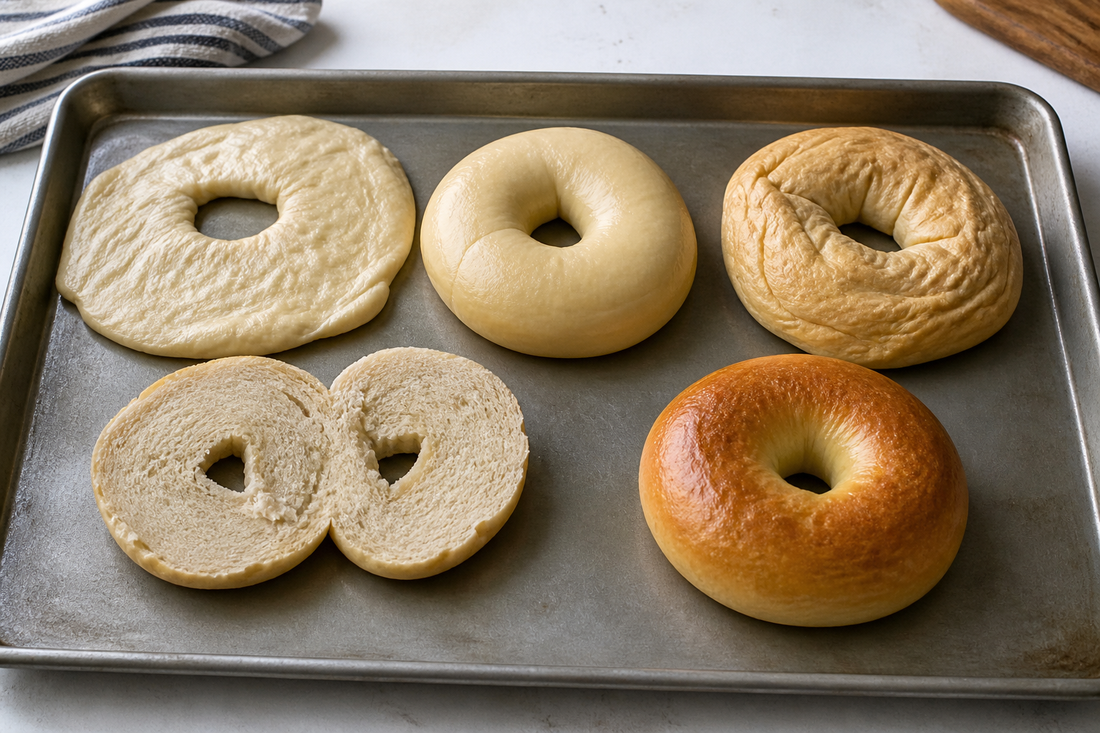 Homemade bagels showing flat, pale, wrinkled, dense, and properly browned results for comparison