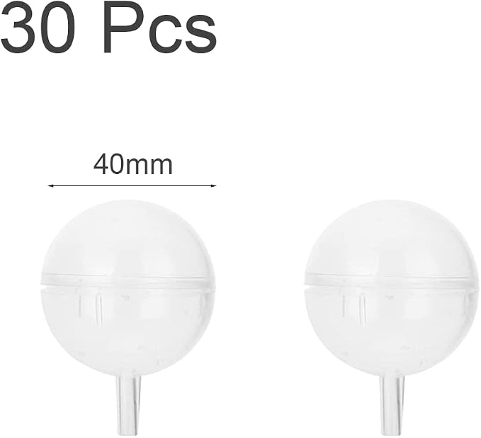 30 Pcs Chocolate Box Holders Clear Plastic Cupcake Cover Party Supplies for Packaging Candy and Chocolate