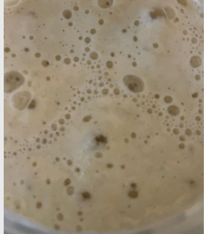 1012 A.D. Italian Camaldoli Sourdough Starter Culture, 100% Organic Flour with Active Cultures, Dehydrated Powder, 25 Grams