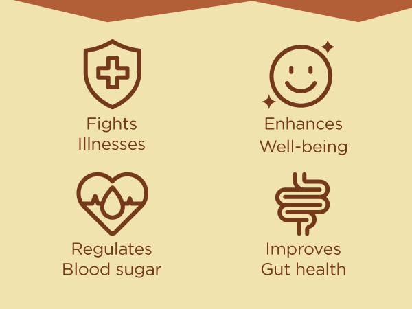 Healthy Cocoa Mix, Delicious Sugar Free Low Cal Hot Chocolate and Coffee Flavoring Powder, Mocha Additive, Gluten Free Diet Drinks, Non-GMO Ingredients, Nut Free Collagen Fiber Blend