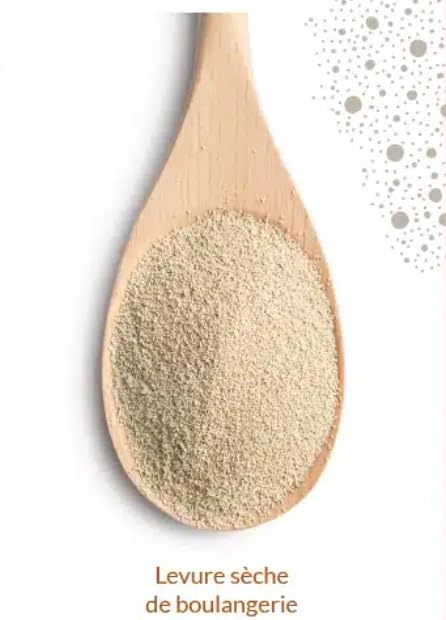 Francine - yeast for baking bread - (6x5g sachets) 30g - bread machine yeast - levadura para hacer pan - Instant dry yeast. Plant-based. French Imported.