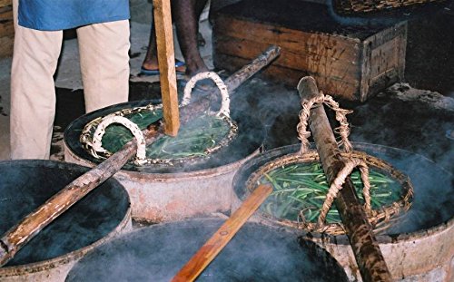 50 Tahitian Extract Grade B Natural Vanilla Beans 5~6" by Vanilla Products USA