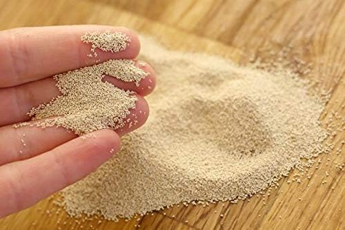 Jioo Organics Dry Yeast Instant Active Dry Yeast for Making Bread or Pizza Pack of 1 Yeast Powder for Baking (50 Grams)