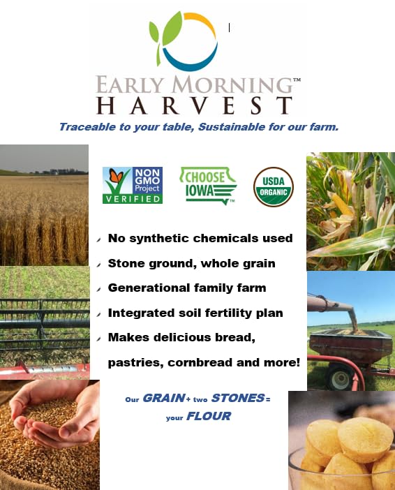 Early Morning Harvest Organic General Purpose Flour- 64 Ounces (4 lbs) | Non-GMO, Whole Grain, Unbleached, Certified Organic