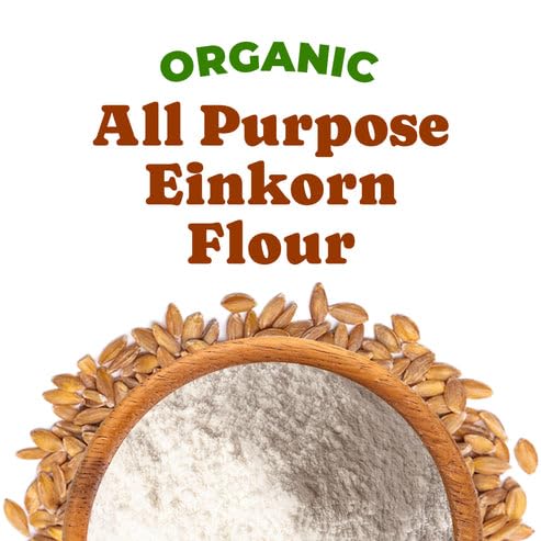 Food to Live Organic All Purpose Einkorn Flour, 8 Pounds - Italian Ancient Grain White Flour for Bread, Pizza, Pasta and Everyday Baking. Non-GMO, Vegan, Kosher, Bulk