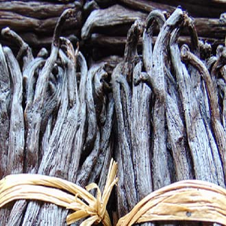 Pure Vanilla Extract Madagascar Bourbon Variety / Non Alcoholic Vanilla Extract, Sustainably and Ethically Sourced Vanilla / 1.7 Fl oz / 50 ml / Halal / Glas bottle
