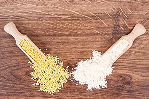 Food to Live Organic Millet Flour, 1 Pound Non-GMO, Kosher, Vegan, Stone Ground, Unbleached, Unbromated, Bulk, Product of the USA