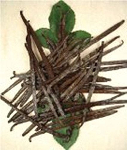 Concentrated Vanilla Flavor TTB - TTB-Approved Concentrated Vanilla for Brewing - Baking - Cooking - Non-GMO - Kosher - Vegan - 4 oz