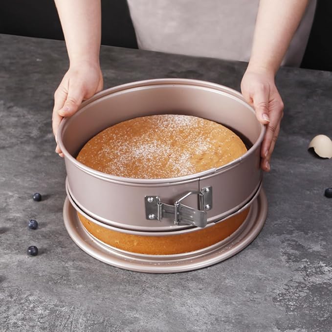 CHEFMADE Nonstick 10-Inch Round Springform Cake Pan Cheesecake Leak Proof Baking Pan