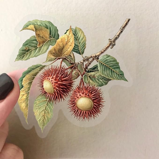 50Pcs Vintage Fruit and Vegetable Stickers, Waterproof Decals for Journal, Scrapbooking, Laptop, Kindle, Photo Album, PET Transparent Aesthetic Stickers