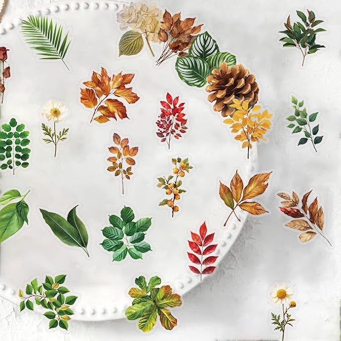 50 Pcs Transparent Green Plant Stickers Vinyl Waterproof Aesthetic Trendy Decals forNature Plant Floral Vintage Craft Colorful,Adults,Water Bottles,Laptop,Phone,Plant Enthusiast(Green Plant)