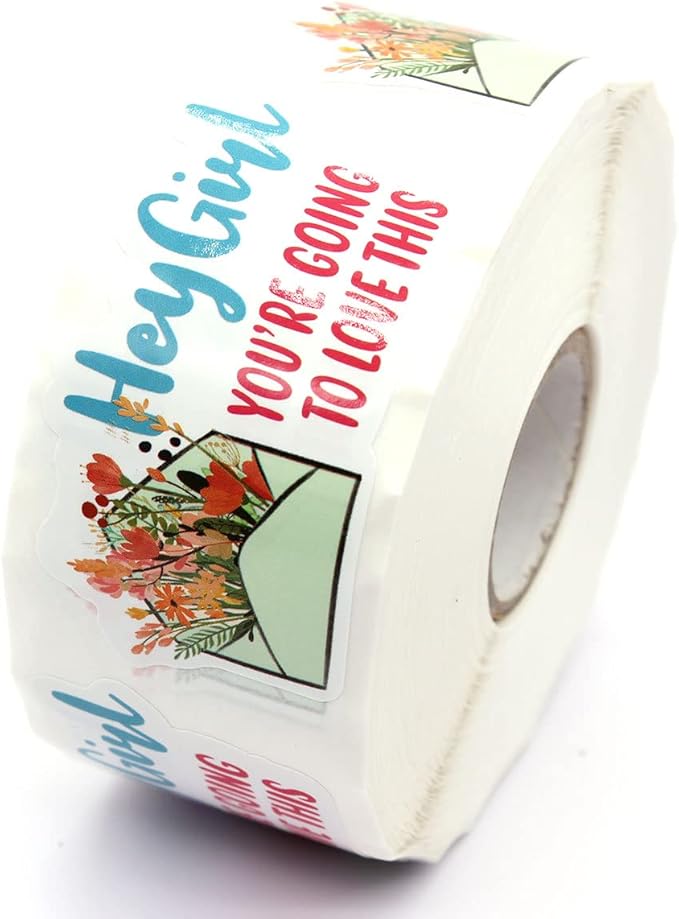 Hey Girl You’re Going to Love This Stickers,Funny Small Business Sticker for Mail Envelopes Package Packing 500 Labels Per Roll