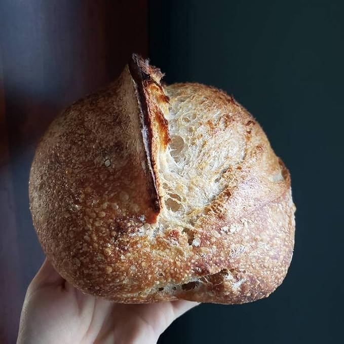 Breadtopia Live Sourdough Starter | Organic Non-GMO Ingredients | Active & Ready to Go | It's Alive - Must be Fed Immediately on Delivery