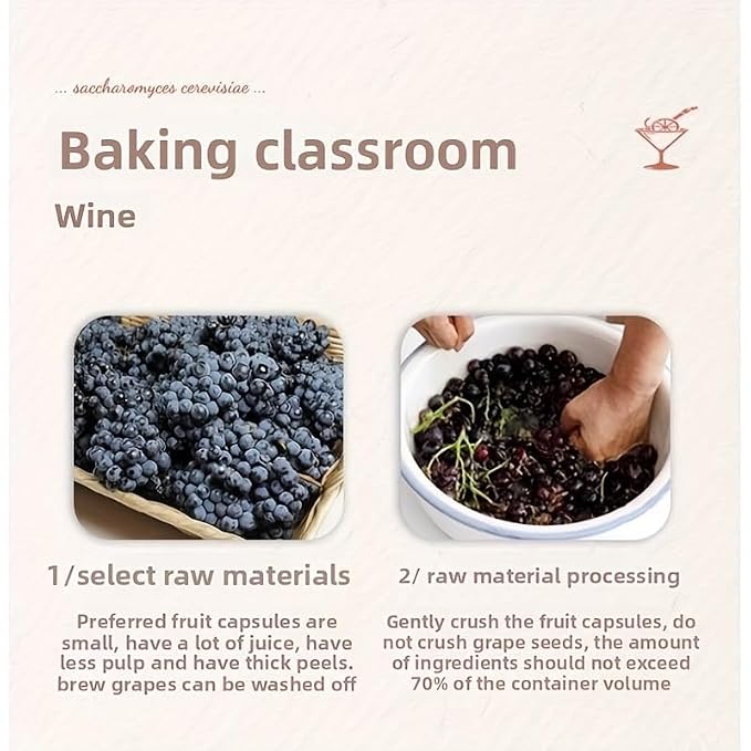 Angel fruit 果酒曲葡萄水果酵母wine yeast, grape fruit yeast, Yangmei mulberry wine red wine yeast, RW version suitable for dark fruits (10g * 1 bag)