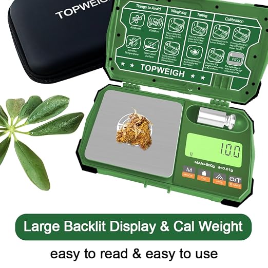 Pocket Scale, 500g x 0.01g, Dual Powered, Precision Gram Jewelry Scale with Zipper Case, Digital Small Coin Scale, Large Backlight Display, 6 Weighing Units,Cal Weight, USB Cable Included