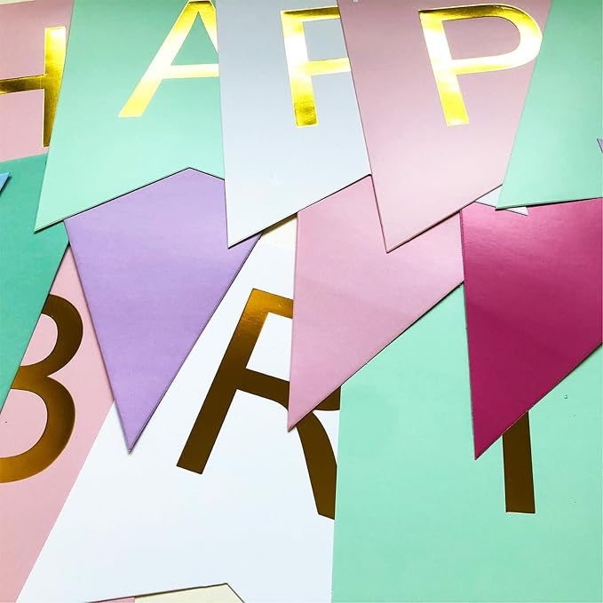 Pastel Birthday Party Decoration, Macaron Happy Birthday Party Decoration for Girls Women with Happy Birthday Banner Bunting Hanging Paper Fans, Girl Woman Pastel Birthday Honeycomb Decoration