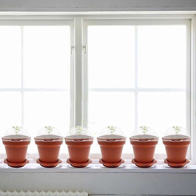 PURPLE STAR 1N 50 Packs Cupcake Plant Nursery Pots with Humidity Dome- Planting Containers Cups- Small Flower Pots with Trays & Lids for Indoor Outdoor Seedling Succulent Vegetable (Wine Red)