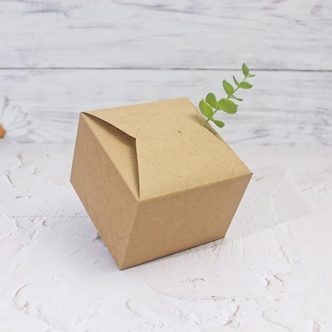 WEWILUCK Brown Box for Presents, 10 Pack Small Empty Kraft Paper Gift Boxes with Ribbon For Packaging Candy, Cookie, Chocolate, Craft, Candle, Small Gifts, 4.75” x 4.75” x 3.53”