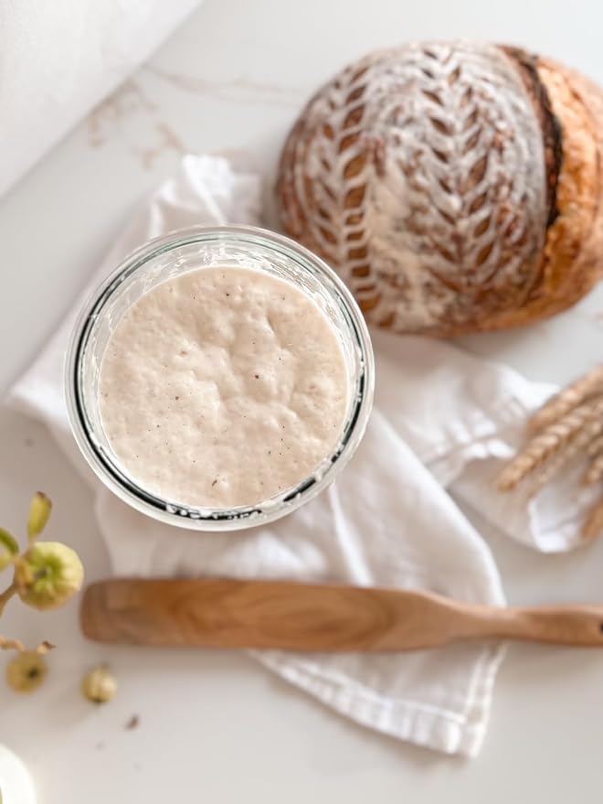 1012 A.D. Italian Camaldoli Sourdough Starter Culture, 100% Organic Flour with Active Cultures, Dehydrated Powder, 25 Grams