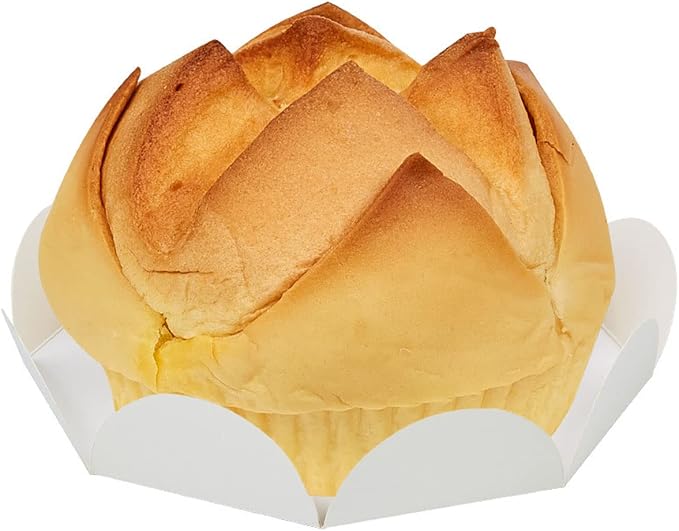 Clear Food Storage Bags for Toast Bread Cookies Candy Chocolate Cake Bakery Gift Packaging Cake Tray and Ribbon, 20 Pack