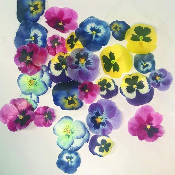 CHOCKACAKE Edible Flowers for Cake Decorating Topper Sunflowers for Cupcakes Drinks Decorations (28pcs)