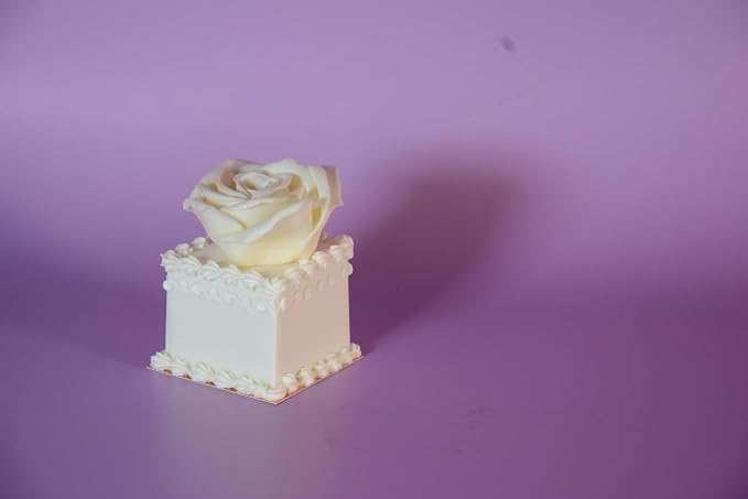 Renshaw White Fondant Icing for Cake Decorating - Ready to Roll, Edible Fondant for Cupcakes, Cookies, & Cake Decoration, Smooth & Easy to Use, Kosher, Light Vanilla Flavor - 2.2 lbs