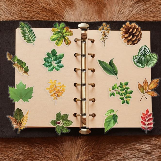 50 Pcs Transparent Green Plant Stickers Vinyl Waterproof Aesthetic Trendy Decals forNature Plant Floral Vintage Craft Colorful,Adults,Water Bottles,Laptop,Phone,Plant Enthusiast(Green Plant)