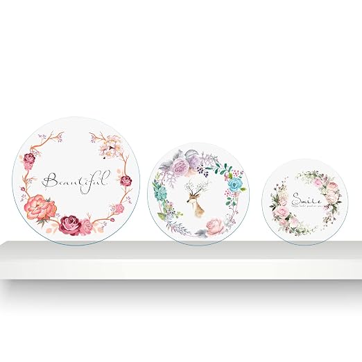 1 Pieces 1/4" Round Plexiglass Sheet, 17 Inch Diameter Clear Acrylic Circle, Round Cake Disk Acrylic Sheet, Plexiglass Table Top, Acrylic Backdrop