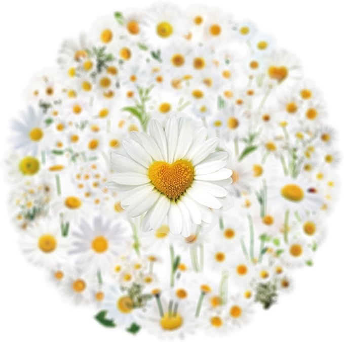 Daisy Flower Stickers - 50PCS Aesthetic White Daisy Stickers Waterproof PET Decals for Journaling, Scrapbooking, Water Bottles, Laptops, Perfect for Plant Lovers & Craft Enthusiasts