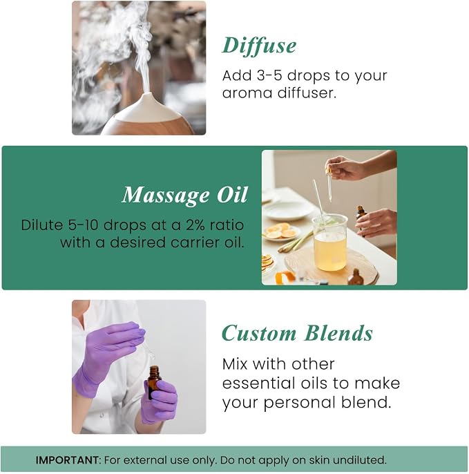 Handcraft Blends Eucalyptus Essential Oil – Huge 4 Fl Oz – 100% Pure and Natural – Premium Grade Essential Oil for Diffuser and Aromatherapy, Skin, Massage, Candle and Soap Making Fragrance