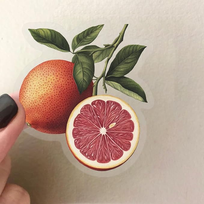 50Pcs Vintage Fruit and Vegetable Stickers, Waterproof Decals for Journal, Scrapbooking, Laptop, Kindle, Photo Album, PET Transparent Aesthetic Stickers