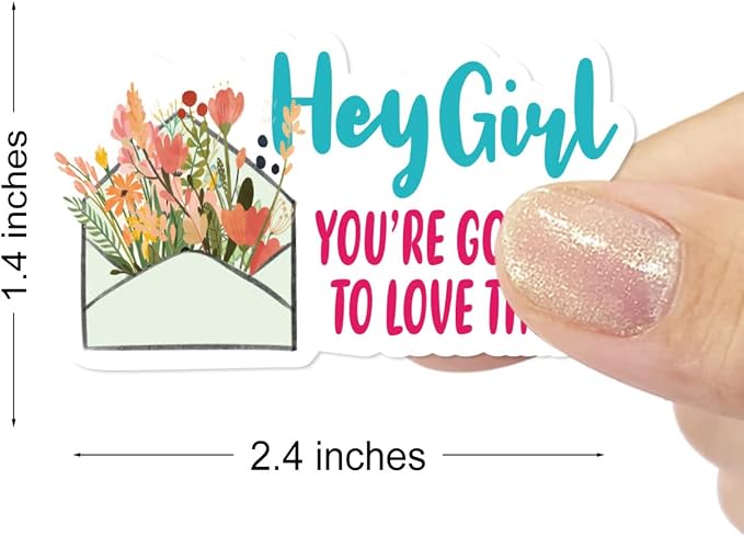 Hey Girl You’re Going to Love This Stickers,Funny Small Business Sticker for Mail Envelopes Package Packing 500 Labels Per Roll