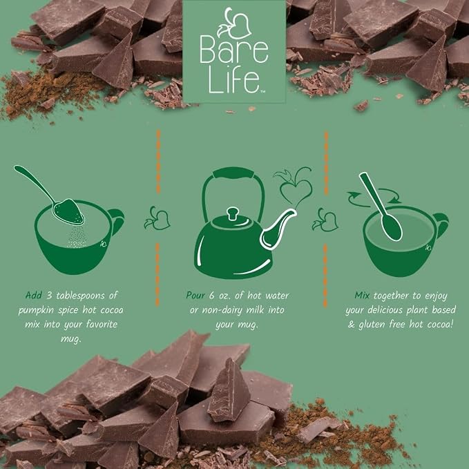 Bare Life Organic Pumpkin Spice Hot Cocoa Mix, Dairy Free Hot Cocoa Mix, Vegan Hot Chocolate Powder, Gluten Free, Kosher Pareve, Just Add Hot Water, 9.52 oz Pouch