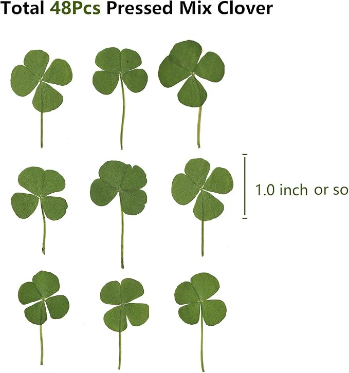 48 Pcs Mix Natural Dried Pressed 4 Leaf Clover for St Patricks Day Cake Decorating, Real Dry Flower for Lucky Jewelry Making (Four Leaf Clover)
