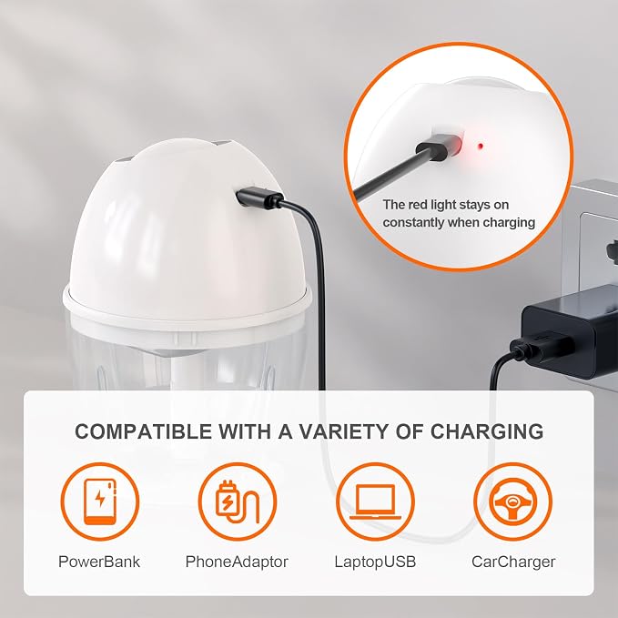 Portable Electric Garlic Chopper, 450ML Large Volume Cordless Mini Food Processor with USB Charging,304 Stainless Steel Sharp Blades,for Onion, Garlic, Ginger, Baby Food,Meat,Spices BPA-Free
