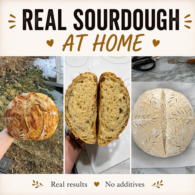 Dehydrated Sourdough Starter Culture – Natural Wild Yeast for Homemade Sourdough Bread – Easy Activation for Beginners – No Additives – MySourdoughWorld