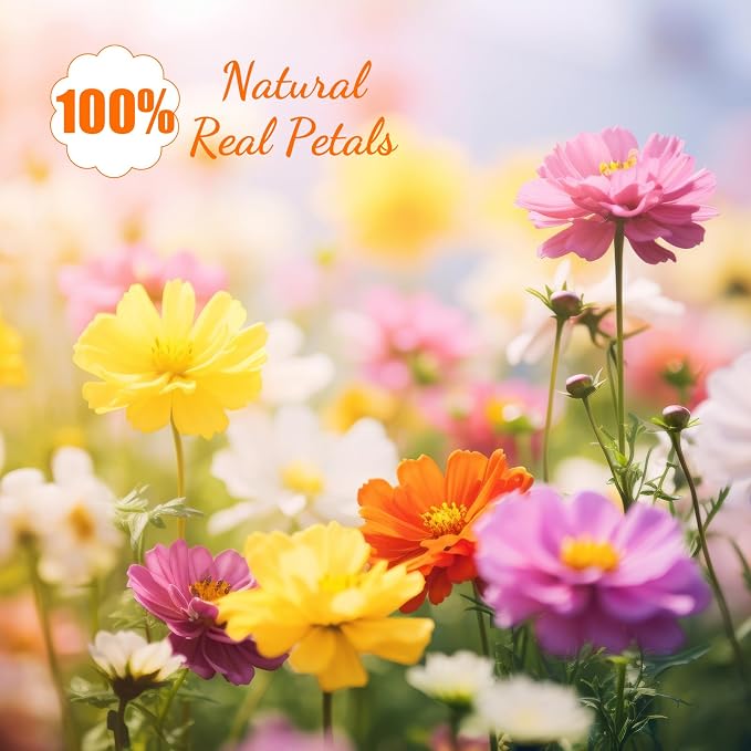 96 Pcs Natural Dried Pressed Flowers for Cake Topper Decorating Cupcake Toppers Cocktails Resin Jewelry Candle Soap Making DIY Art Crafts