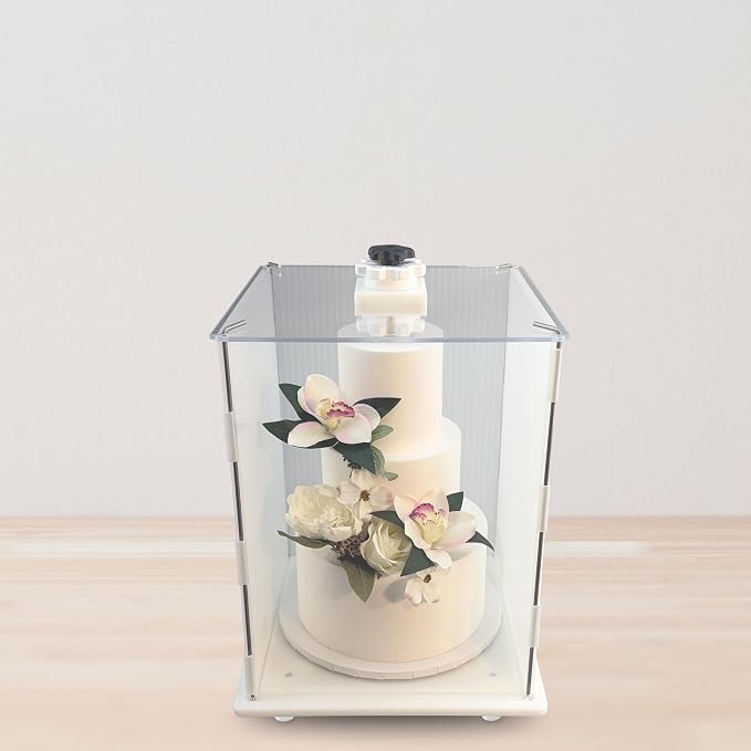 CAKESAFE Reuseable Itsy Tall Cake Transporter, Clear Plastic Cake Carrier (12" W x 16" H)