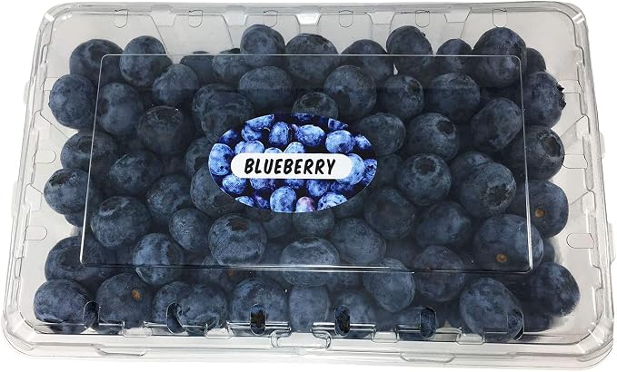 Blueberry Grocery Store Food Labels 1.25 x 2 Inch Oval Shape 500 Total Adhesive Stickers