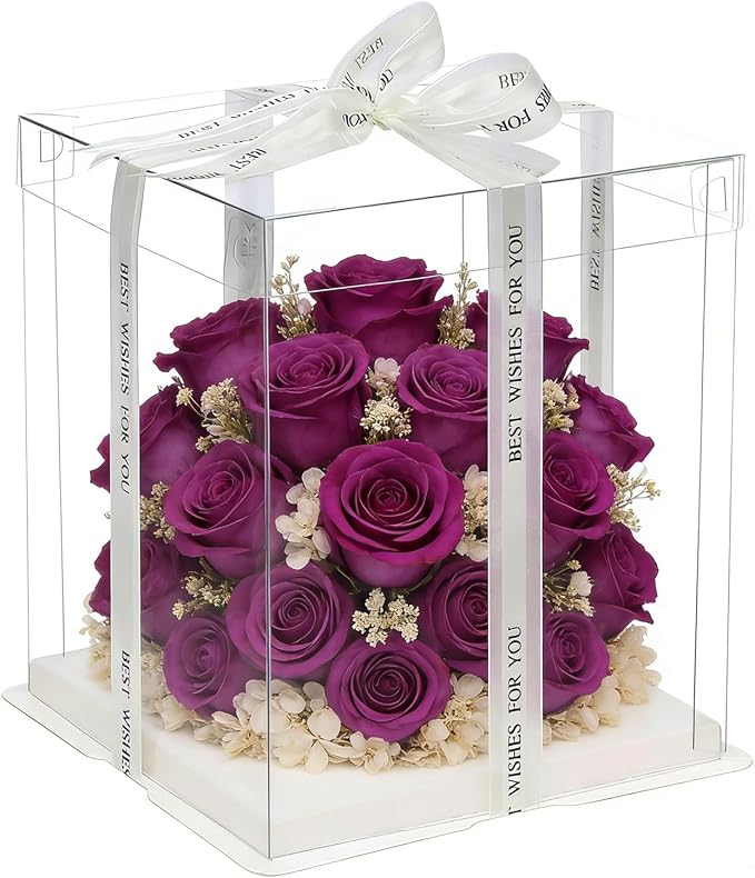 6 Pack Clear Cake Box, 2-Layer Transparent Cakes Box with Ribbon, 10" X 10" X 9" Tall Cake Carrier Boxes with Sturdy Board for Bakery Dessert Bread Pastry Birthday Parties, Wedding Graduation
